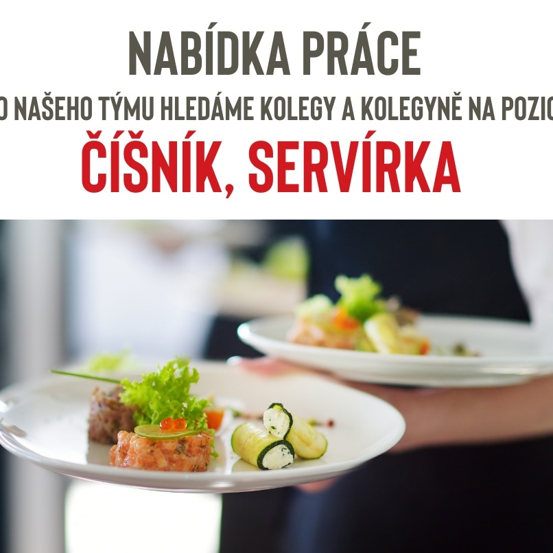 hledáme servírku číšníka